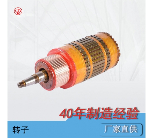 四川ZQ-1.9輔助直流牽引電機電樞（250V，550V）